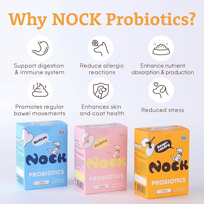 NOCK Probiotics for Dogs, Digestive Support, Immunity Health, and Healthy Digestion with Digestive Enzymes