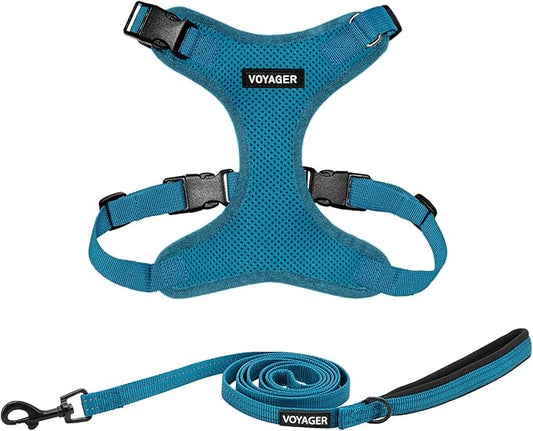 Voyager Step-in Lock Dog Harness w Reflective Dog Leash Combo Set with Neoprene Handle 5ft - Supports Small, Medium and Large Breed Puppies/Cats by Best Pet Supplies - Turquoise, L