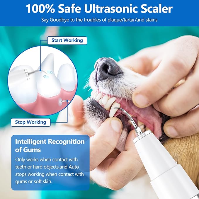 Dog Plaque Remover for Teeth，Pet Ultrasonic Tooth Cleaner，Teeth Cleaning Kit -Tartar Remover for Teeth Stains for Dogs and Cats (White)