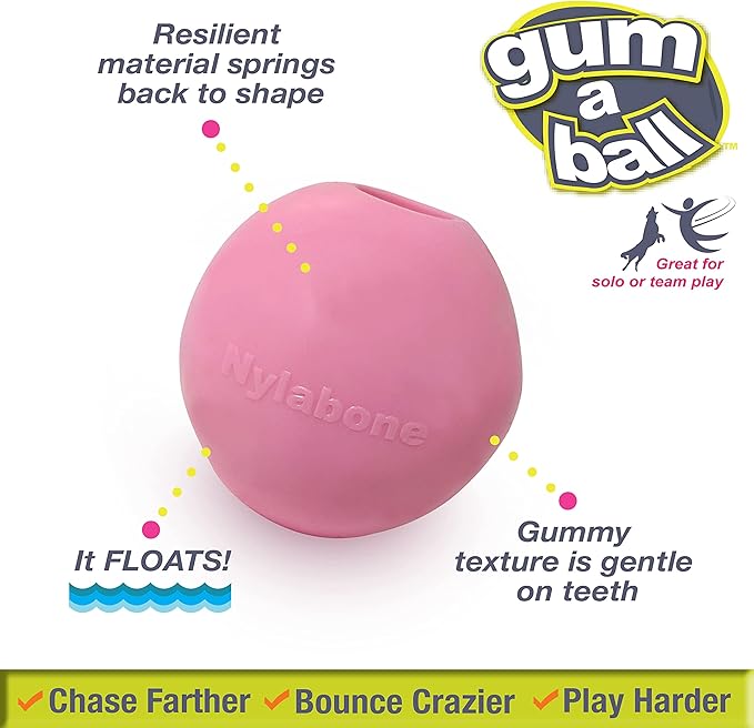 Nylabone Power Play Gum-a-Ball toy for Dogs One Size (2 Count)