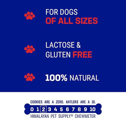 Himalayan Dog Chew Happy Teeth Yak Cheese Dog Chews Dental Chews, 100% Natural, Long Lasting, Gluten Free, Healthy & Safe Dog Treats for Oral Health, Lactose & Grain Free, Protein Rich, Bacon, 2 Chews