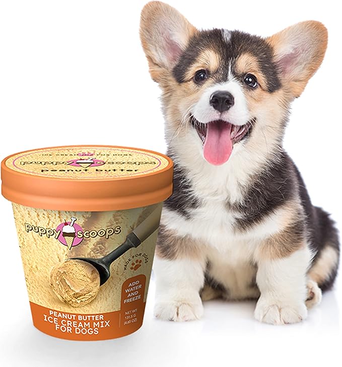 Ice Cream Mix for Dogs: Peanut Butter - Add Water and Freeze at Home, 4.65 oz Made in USA