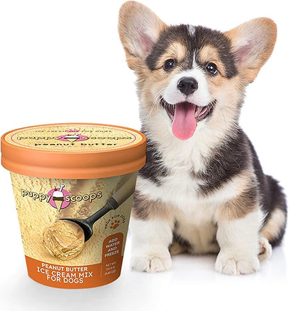 Ice Cream Mix for Dogs: Peanut Butter - Add Water and Freeze at Home, 4.65 oz Made in USA