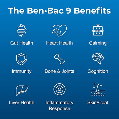 Pet-Ag Bene-Bac 9-10 oz Powder - Prebiotic and Probiotic Supplement for Dogs 12 Weeks and Older - Provides Nine Multifunctional Benefits