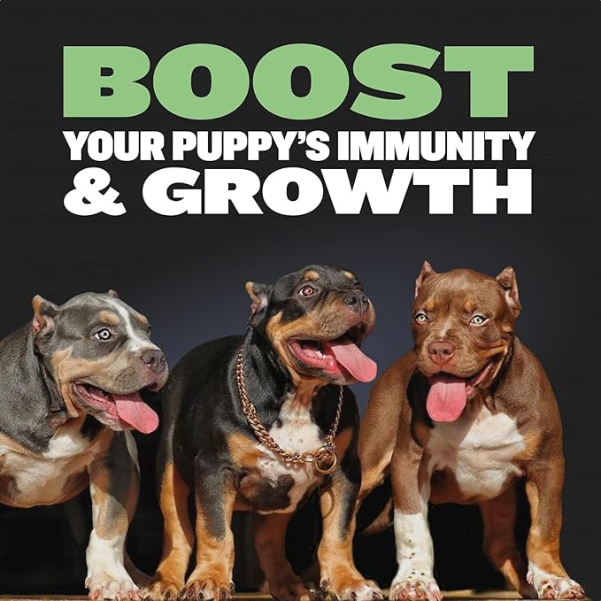 Bully Max Puppy Food 24/14 High Protein & Growth Formula - Dry Dog Food with Lamb & Rice for Small & Large Breed Puppies - Natural, Slow-Cooked, Sensitive Stomach Pet Food - 15lbs (3 bags, 5 lbs each)