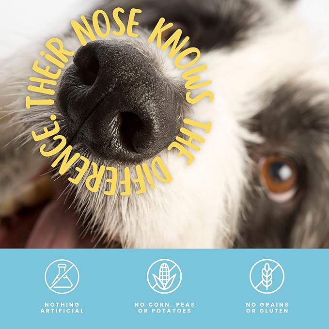 hotspot pets Large Yak Chews for Dogs - Premium Long Lasting Himalayan Dog Chews Bones for Aggressive Chewers - All Natural Rawhide Free Yak Cheese Dog Treats (Large - 6 Pack)