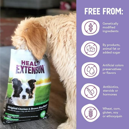 Health Extension Dry Dog Food, Natural Food with added Vitamins & Minerals, Suitable for Puppies & Dogs, Original Chicken & Brown Rice Recipe (1 Pound / 0.4 kg)
