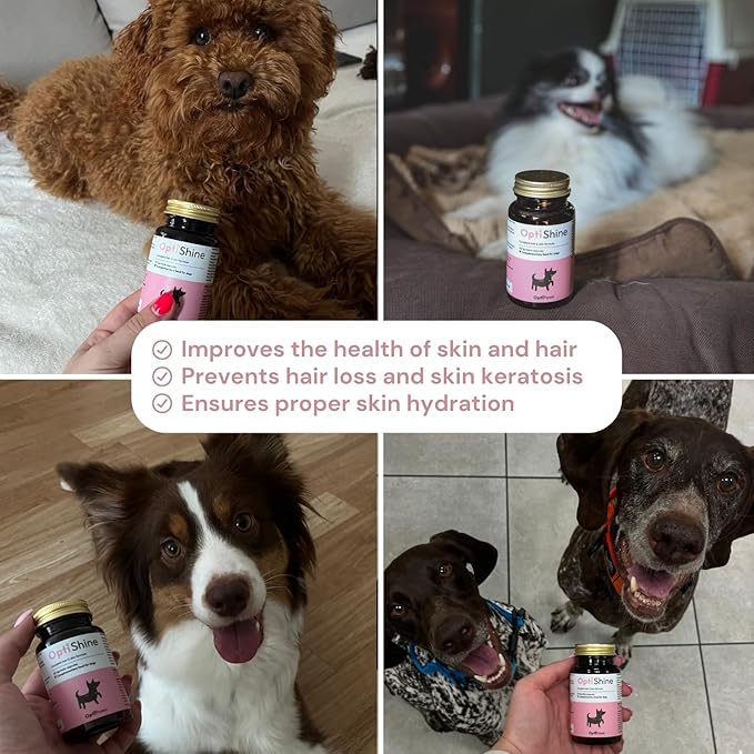 OptiShine Dog Skin & Coat Supplement - Allergy Relief, Itch Relief, Anti-Shedding - Pure Sprinkle Capsules for Healthy Skin & Shiny Coat