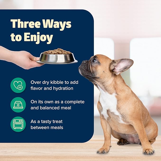 Blue Buffalo Freedom Grain-Free Wet Dog Food, Free of Glutens & Artificial Preservatives, Made with Natural Ingredients, Lamb Recipe, 12.5-oz. Cans (12 Count)