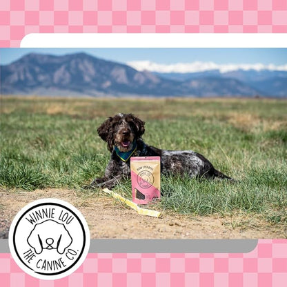 WINNIE LOU Jerky Organic Jerky Dog Treats Made in The USA – Human Grade Dog Treats – Dog Jerky Treats – All Natural Dog Treats – Healthy Dog Treats (Bison Liver Bites)