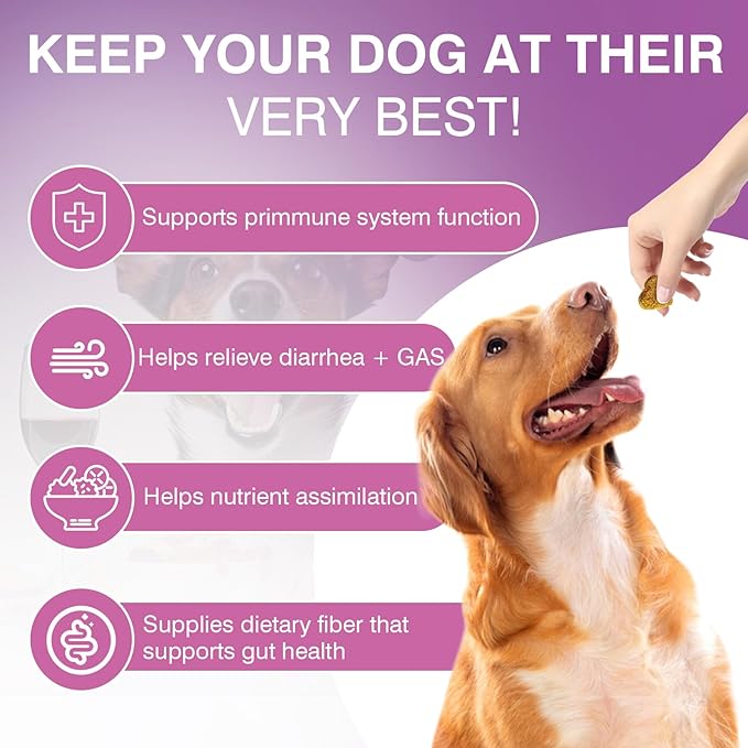 Probiotics for Dogs Dog Probiotic Chews and Digestive Enzymes Prebiotic Health Gut Itchy Skin Probioticos Itching Diarrhea Chew Supplements Canine Pet Prebiotics 200 Natural Soft Chewable Tablets