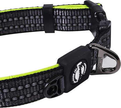 Nylon Dog Collar – Reflective – Franklin Pet Supply Co™ – Comfort Fit – Neoprene – Adjustable – Large – Green