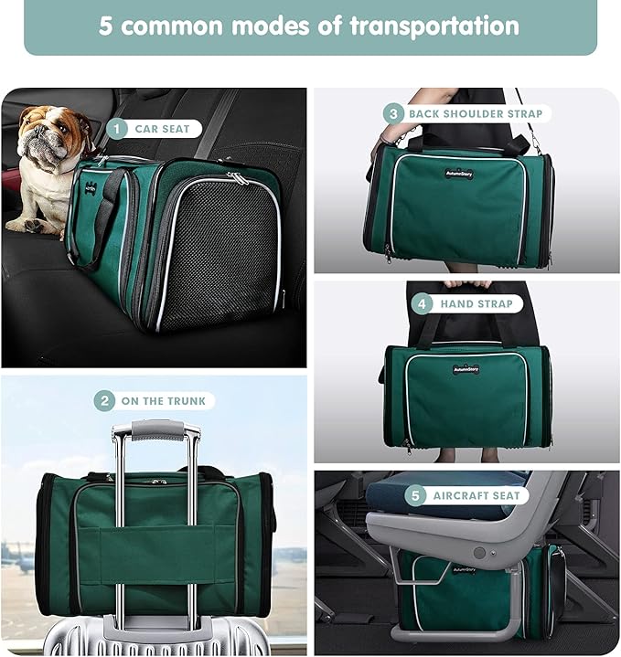 Cat Carrier, Pet Carrier Airline Approved, 2 Sides Expandable Dog Carrier, Soft-Sided Collapsible Dog Travel Bag with Removable Fleece Pad for Cats, Puppy and Small Animals (Green)