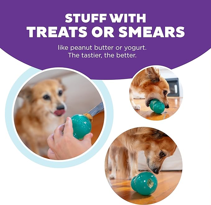 Outward Hound Double-Tuff Interactive Treat Stuffer Dog Chew Toy, Durable Dog Toy, Medium, Blue