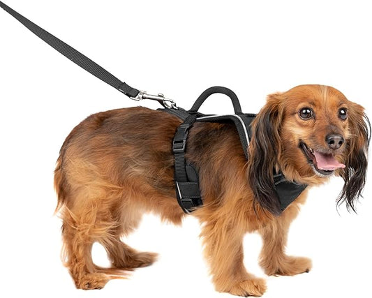 PetSafe EasySport Dog Harness – Adjustable, Padded Dog Harness with Control Handle and Reflective Piping – Extra Small, Black