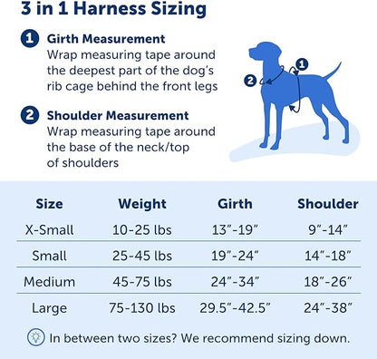 PetSafe 3 in 1 Dog Harness - No Pull Solution for Dogs - Reflective Dog Harness - Front D-Ring Clip Helps Stop Pulling - Comfortable Padded Straps - Top Handle Enhances Control - Plum - Extra Small