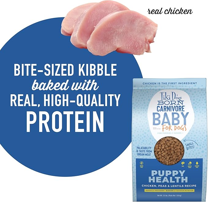 Tiki Dog Born Carnivore Baby for Dogs, Chicken, Peas and Lentils Recipe, Grain-Free Dry Dog Food Baked with Fresh Meat & Superfoods, For Puppies 5 weeks and older, 3.5 lbs. Bag - SKU 10864