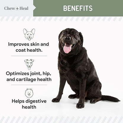 Chew + Heal All in 1 Dog Vitamin - 120 Soft Chew Treats - Chewable Multivitamin with Probiotics, Digestive Enzymes, for Skin and Coat, Hip and Joint Support - with Omega, Calcium - Made in The USA