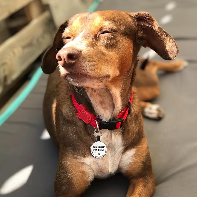 MYLUCKYTAG Silent Silicone QR Code Pet ID Tags Dog Tags - Pet Online Profile - Scan QR Receive Instant Pet Location Alert Email
