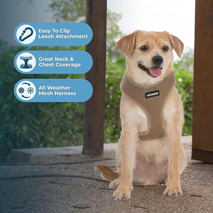 Aerolite No Pull Mesh Dog Harness with Lightweight, Soft, Breathable Chest Coverage, Reflective Stitching, and Adjustable Straps for Walking, Running, Training, Heavy Duty and Durable - Beige, XS