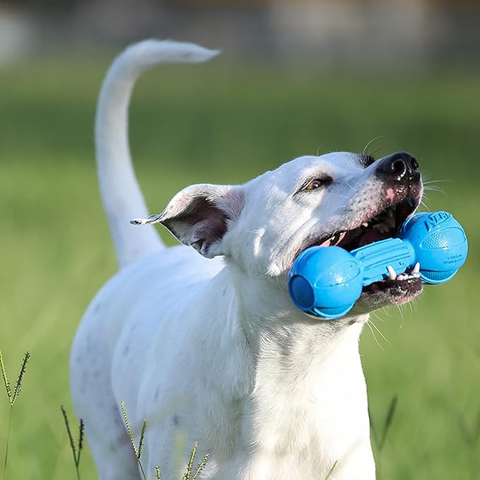 Nerf Dog Chewable Barbell Dog Toy, Lightweight, Durable and Water Resistant, 7.5 Inches, for Medium/Large Breeds, Two Pack, Blue and Green (8953)