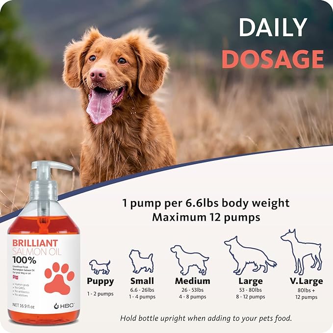 Brilliant Omega 3 Salmon Oil for Dogs & Cats - Norwegian Fish Oil Supplement with EPA & DHA Fatty Acids for Shedding, Allergy, Itching, Dry Skin & Joints - Skin and Coat Fish Oil Liquid, (2 x 16.9 Oz)