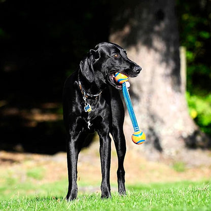 Chuckit Ultra Duo Tug Dog Toy, Medium Indoor and Outdoor Dog Ball for Dogs 20-60 Pounds