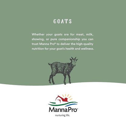 Manna Pro Nurse All Multi Species Milk Replacer with Probiotics for Horses | Formulated with All-Milk Protein to Promote Growth and Development | Helps Support Healthy Gut and Digestions| 8lbs