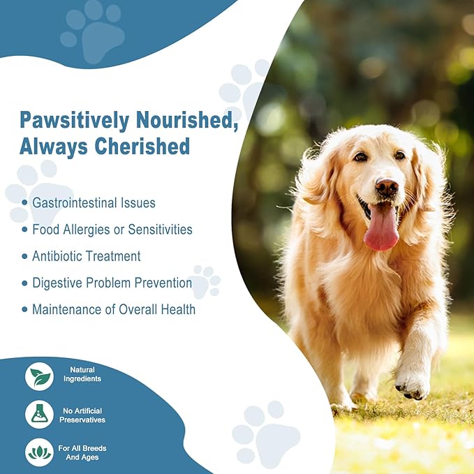 Probiotics for Dogs, Dog Probiotics for Yeast Infection, Itchy Skin and Itchy Ears, Gut Health for Dogs Pet Probiotics Chews Diarrhea Treatment Enzymes treats Digestive Health Stomach Relief