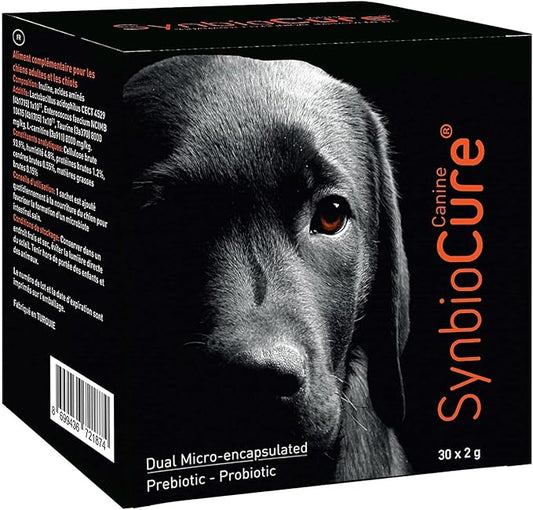 I Probiotics & Prebiotics for Dogs I Powder Dog Supplement I Digestive Health Support I 200 Billion Bacteria Per Sachet I 30 Sachets*2 g
