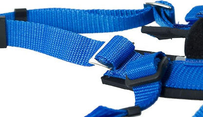 Neewa Adjustable Racing Harness (Medium, Blue) - Ideal for Dog Pull with Bike, Skateboard, Rollerblade, Cart, Canicross