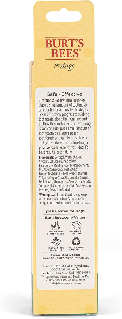 Burt's Bees for Pets Toothpaste with Honeysuckle and Peppermint Oil, in Fresh Mint Flavor - Dog Toothpaste Mint Flavor with 99.5% Naturally Derived Formula, Best Dog Toothpaste, 2.5 oz