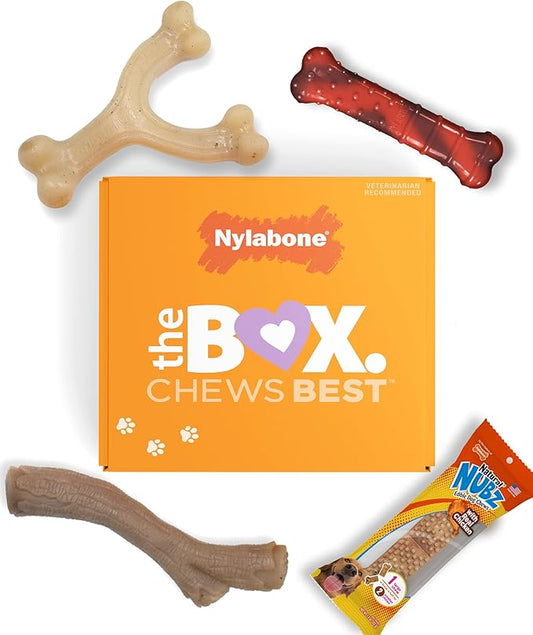 Nylabone Dog Gift Box for Small Dogs - 3 Strong Chew Toys and 1 Dog Treat - Flavor Variety, Small/Regular (4 Count)