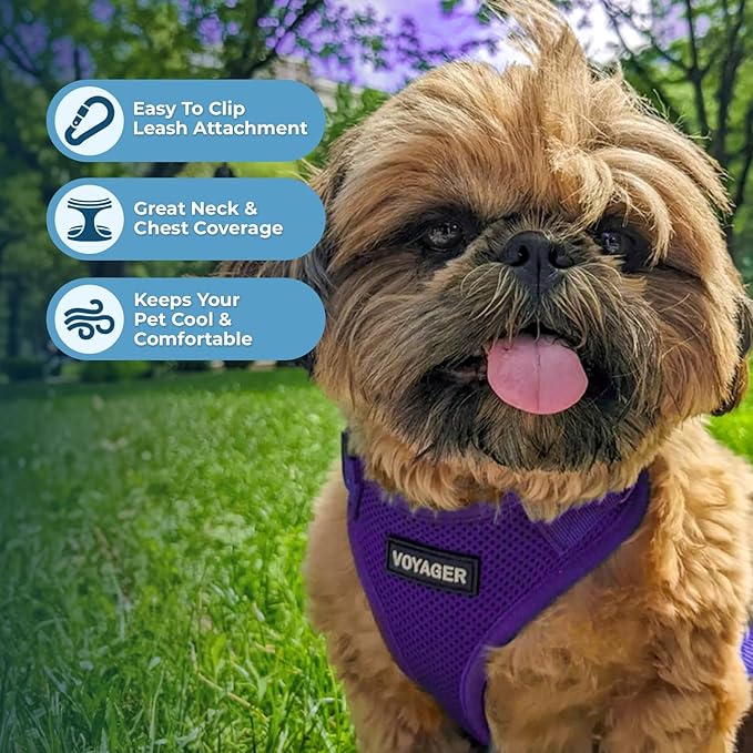 Voyager Step-in Lock Dog Harness w Reflective Dog Leash Combo Set with Neoprene Handle 5ft - Supports Small, Medium and Large Breed Puppies/Cats by Best Pet Supplies - Purple, XS