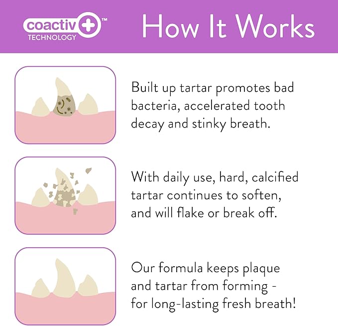 SKOUT'S HONOR: Pet Dental Wipes
