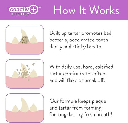 SKOUT'S HONOR: Pet Dental Wipes