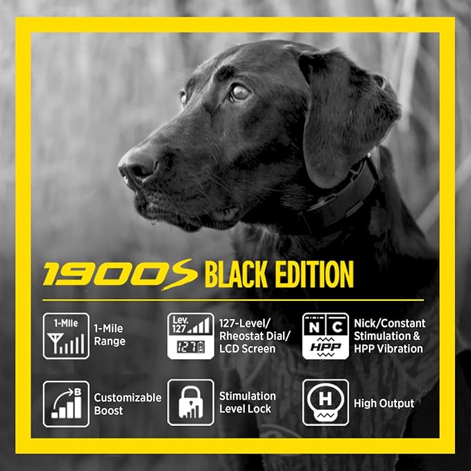 Dogtra 1900S Black - Remote Training Collar - 1 Mile Range, Waterproof, Rechargeable, Static, Vibration - includes PetsTEK Dog Training Clicker