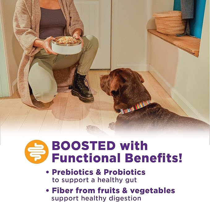 Wellness CORE Bowl Boosters Digestive Health Dog Food Topper, 4 Ounce Bag