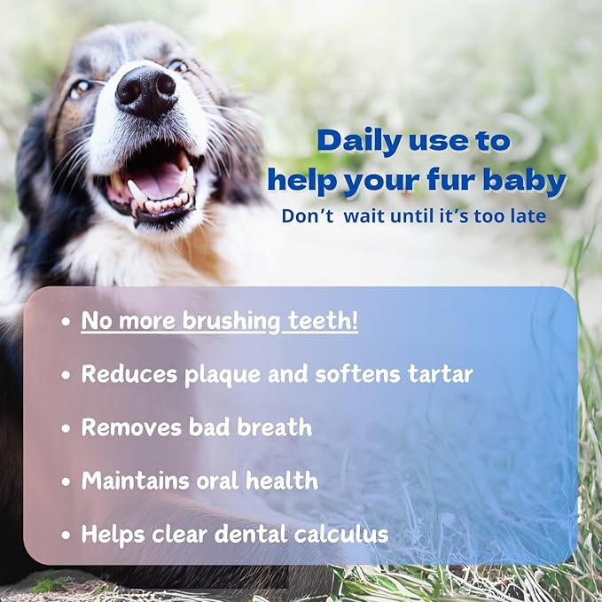 Dog Teeth Cleaning Powder - Simple Feeding,Tartar Plaque Removal Aid/Eliminate Oral Odor/Pet Dental Care, with Super Fucoidan, Norwegian Kelp, 1.4 Oz