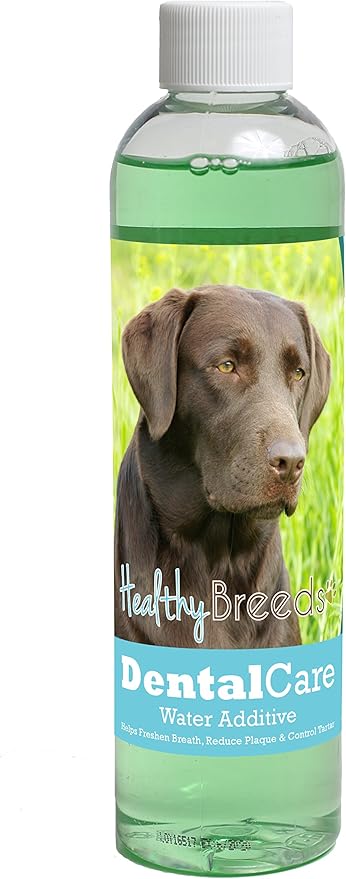 Healthy Breeds Dog Dental Care Water Additive for Labrador Retriever - Helps Freshen Breath, Reduce Plaque & Control Tartar - Mint Flavor - 8 oz