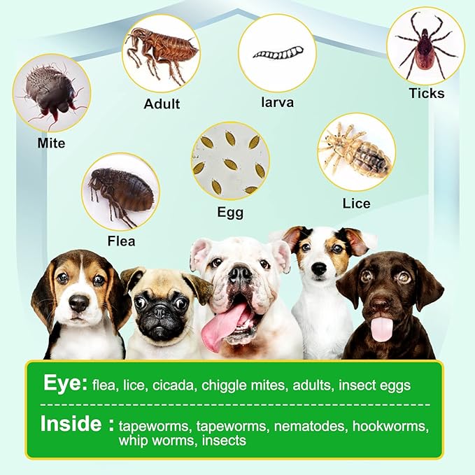 150pcs Flea & Tick Prevention for Dogs Chewable - Dog Flea & Tick Control - Flea and Tick Supplement for Dogs - Flea and Tick Chews for Dogs, Oral Flea Pills for All Breeds and Ages Dogs