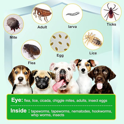 150pcs Flea & Tick Prevention for Dogs Chewable - Dog Flea & Tick Control - Flea and Tick Supplement for Dogs - Flea and Tick Chews for Dogs, Oral Flea Pills for All Breeds and Ages Dogs