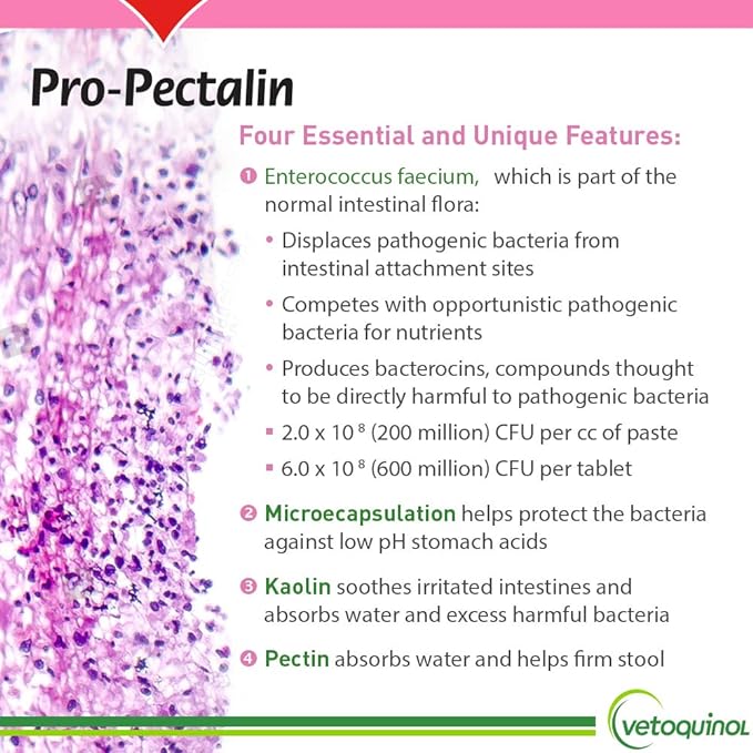 Vetoquinol Pro-Pectalin Oral Paste for Dogs & Cats – Chicken Flavor – Helps Reduce Occasional Loose Stool & Diarrhea, Balance Gut pH, Support Normal Digestion