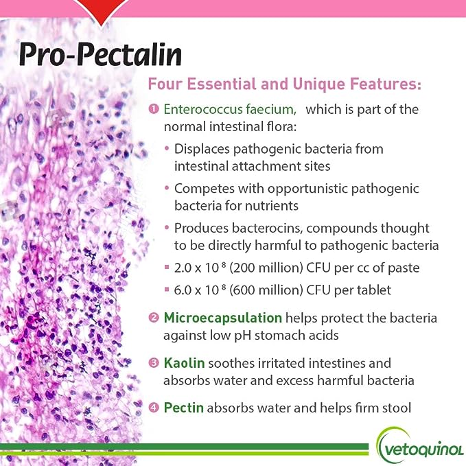 Vetoquinol Pro-Pectalin Chewable Tablets for Dogs & Cats – 250ct, Beef Liver Flavor – Helps Reduce Occasional Loose Stool & Diarrhea, Balance Gut pH, Support Normal Digestion & Intestinal Flora