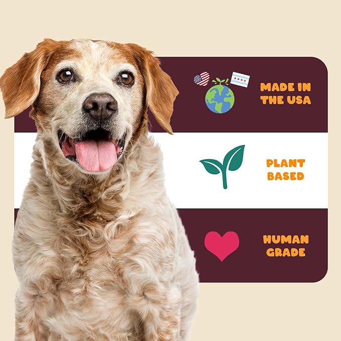 Turmeric + Curcumin - Natural, Human-Grade Allergy Relief Chews, Hip and Joint Supplement, and Anti-Inflammatory for Dogs