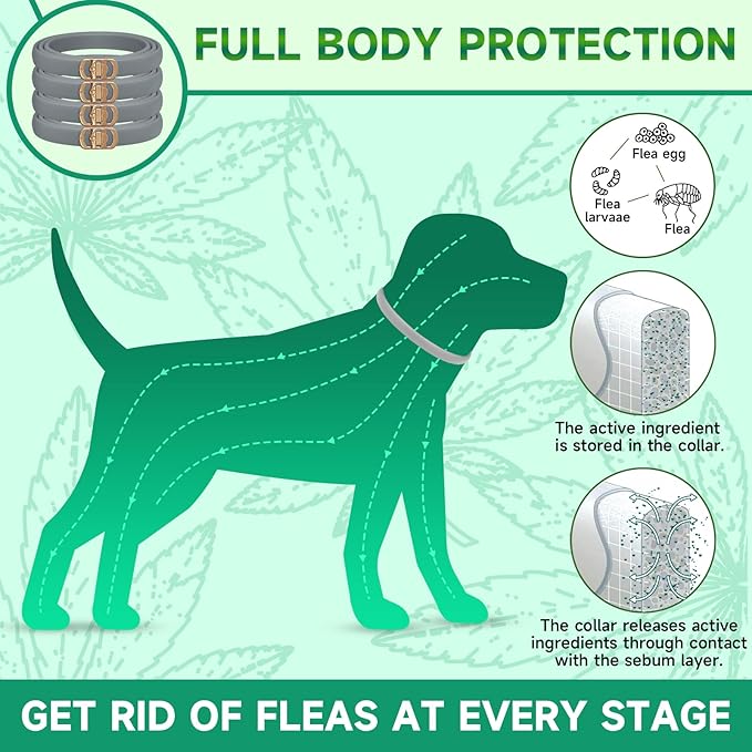 4 Pack Flea Collar for Dogs, Dog Flea and Tick Treatment, 8 Months Protection Flea and Tick Collar for Dogs, Waterproof Dog Flea Collar, Adjustable Collar Flea and Tick Prevention for Dogs