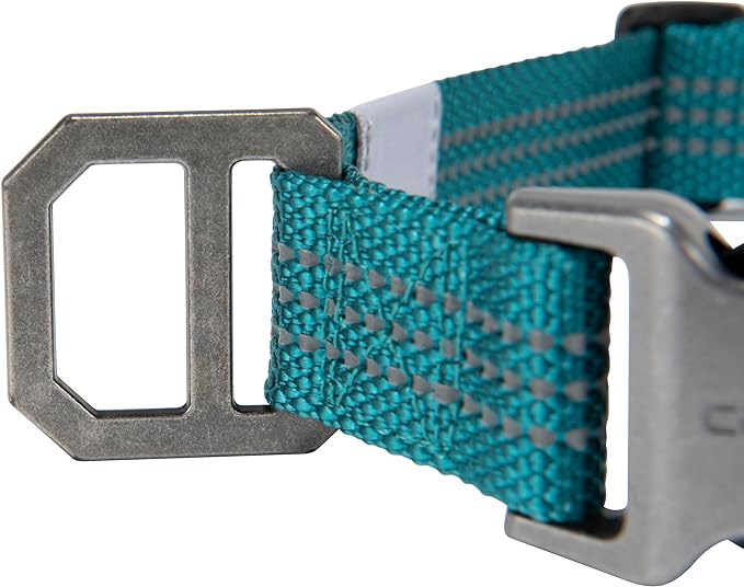 Carhartt Fully Adjustable Nylon Webbing Collars for Dogs, Reflective Stitching for Visibility, Shaded Spruce (Nylon Webbing), Medium