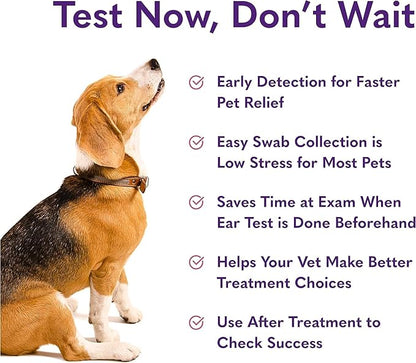 MySimplePetLab Dogs Ear Infection Test Kit | Fast and Accurate Detection of Yeast and other Ear Irritations| Reliable Mail-in Dog Ear Care Test for Smelly, Itchy, or Sore Ears