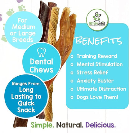 Nature Gnaws Variety Pack - Long Lasting Dog Chews for Dogs - Combo Pack of Bully Sticks, Beef Gullet and More - Dental Chews - Puppy Training Reward Large (12ct)