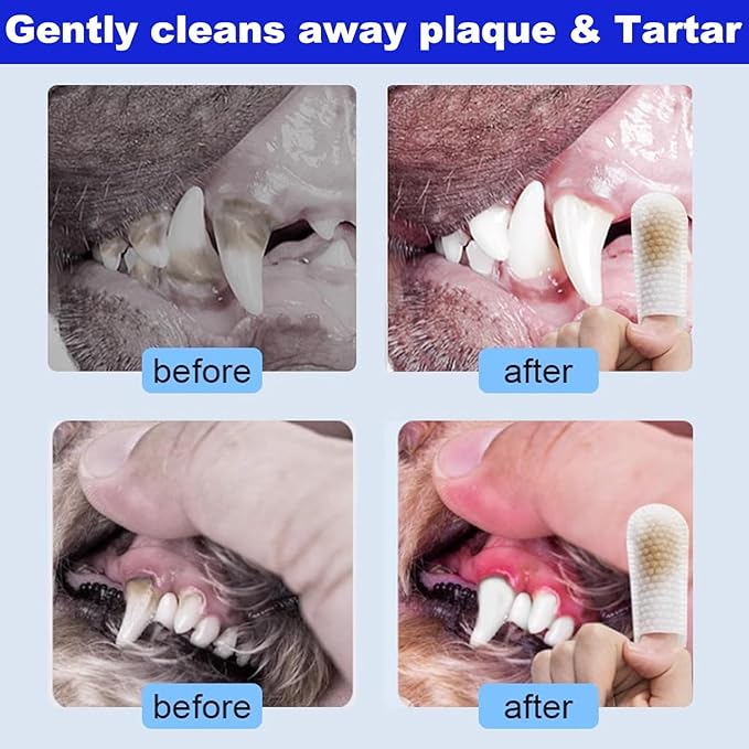Dog Teeth Cleaning Wipes - 2 Pack | 100 Count, Dental Wipes for Dog Teeth, Pet tooth brushing kit Finger Wipes for Dogs & Cats - Reduces Plaque & Freshens Breath